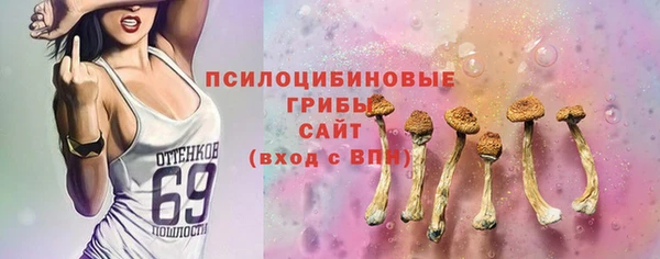 мяу мяу мука Инсар