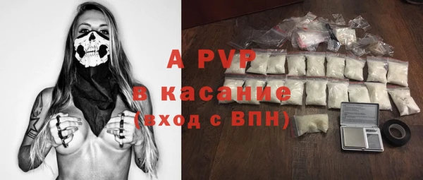 мяу мяу мука Инсар