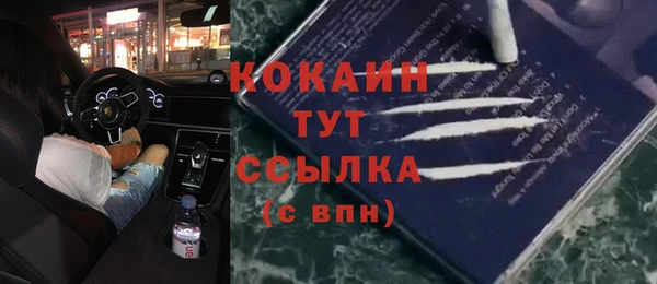 ПСИЛОЦИБИНОВЫЕ ГРИБЫ Иннополис