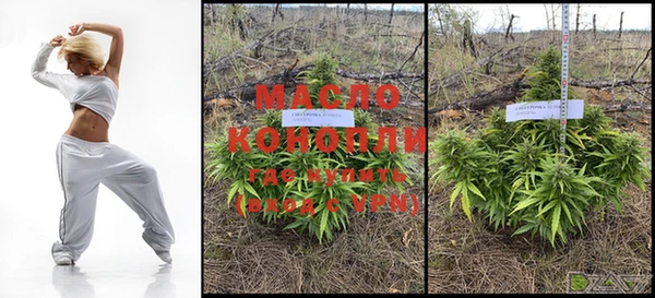мяу мяу мука Инсар