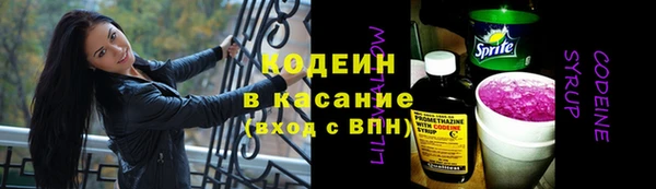 ПСИЛОЦИБИНОВЫЕ ГРИБЫ Иннополис