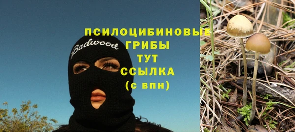 не бодяженный Инта