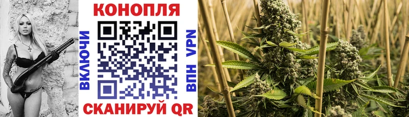 Бошки марихуана ГИДРОПОН  Купить  Полтавская 